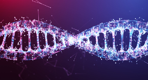 DNA Digitalization